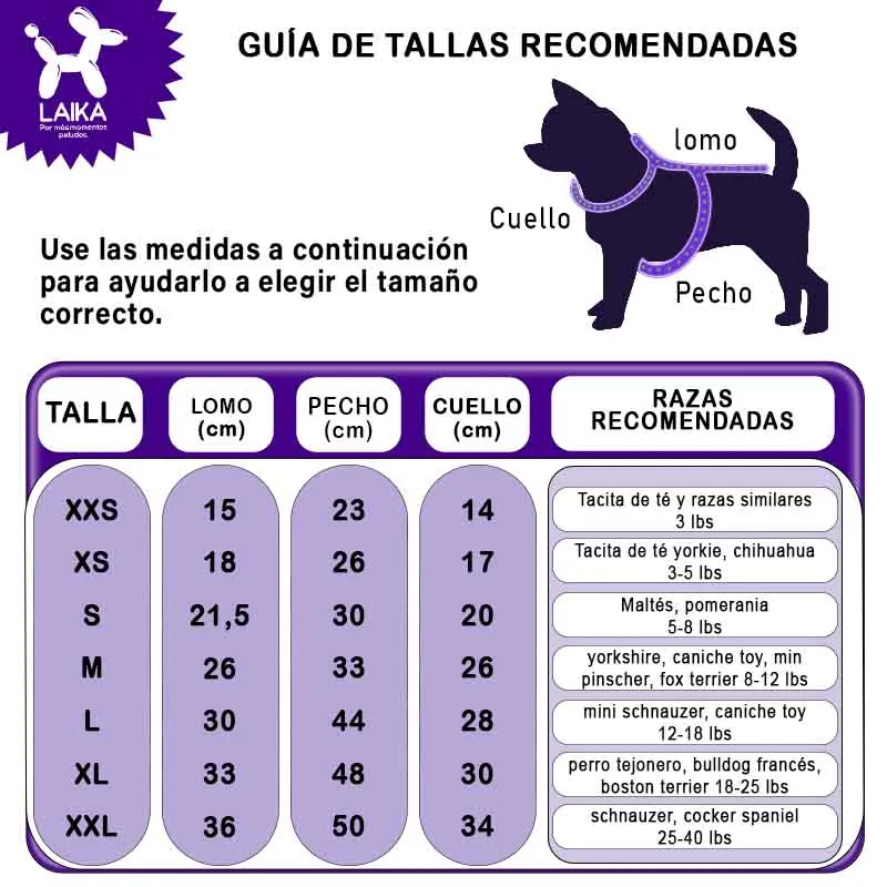 Paw Day - Esqueleto Bordado Boss Rojo