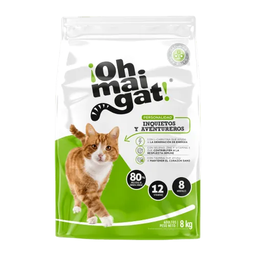 Oh Maigat! - Inquietos Y Aventureros