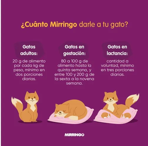 Mirringo - Original Gatos Adultos