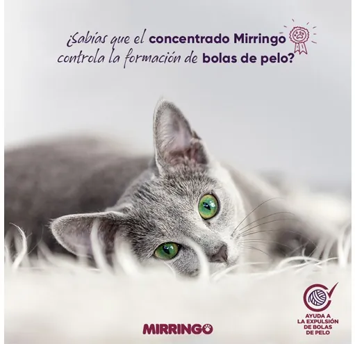 Mirringo - Original Gatos Adultos