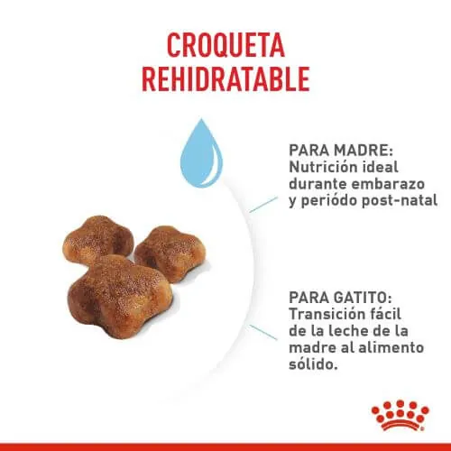 Royal Canine - Primera Edad (Mother And Baby Cat)