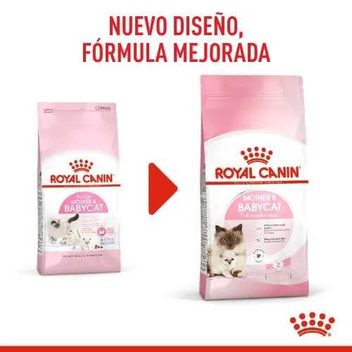 Royal Canine - Primera Edad (Mother And Baby Cat)