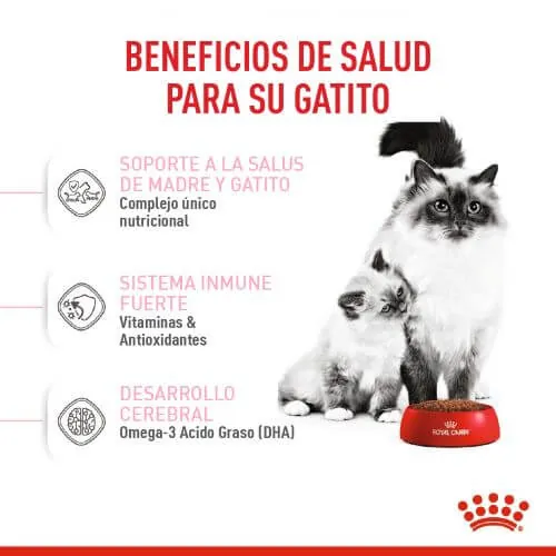Royal Canine - Primera Edad (Mother And Baby Cat)