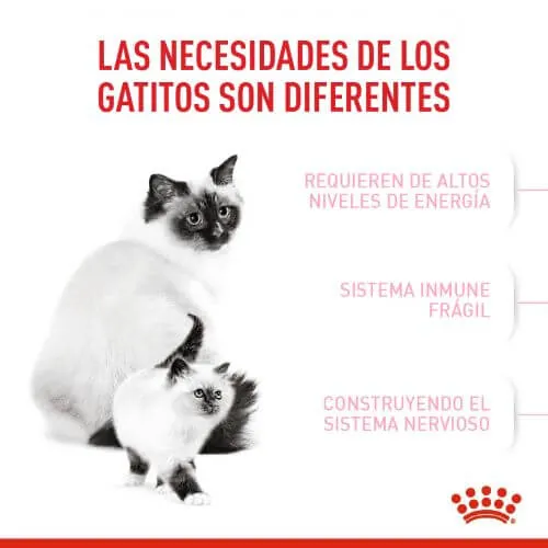 Royal Canine - Primera Edad (Mother And Baby Cat)