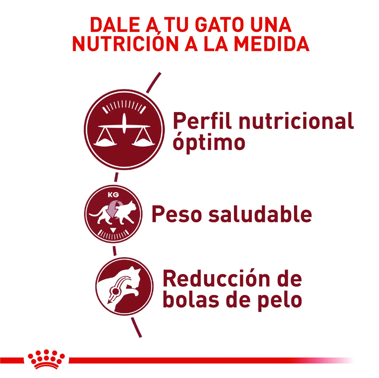 Royal Canin - Regular Fit
