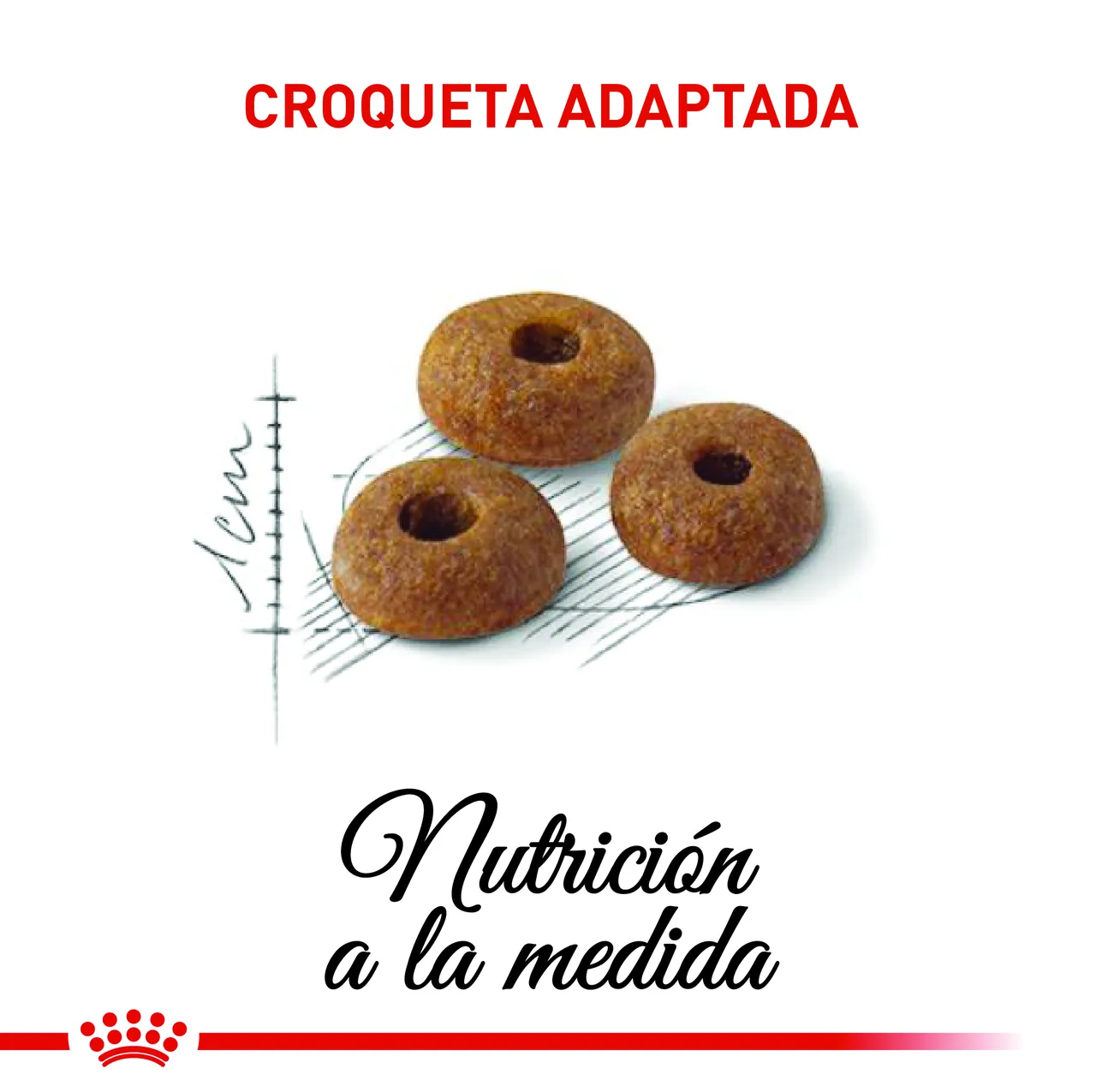 Royal Canin - Regular Fit