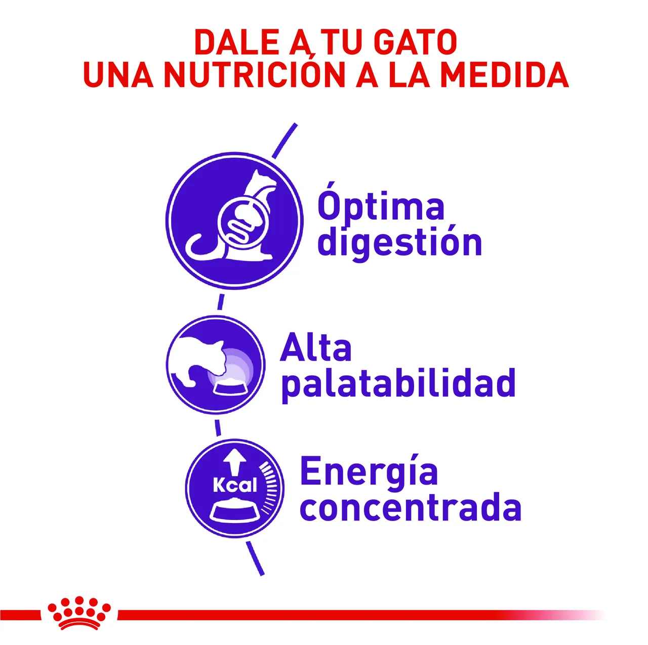 Royal Canin - Regular Sensible