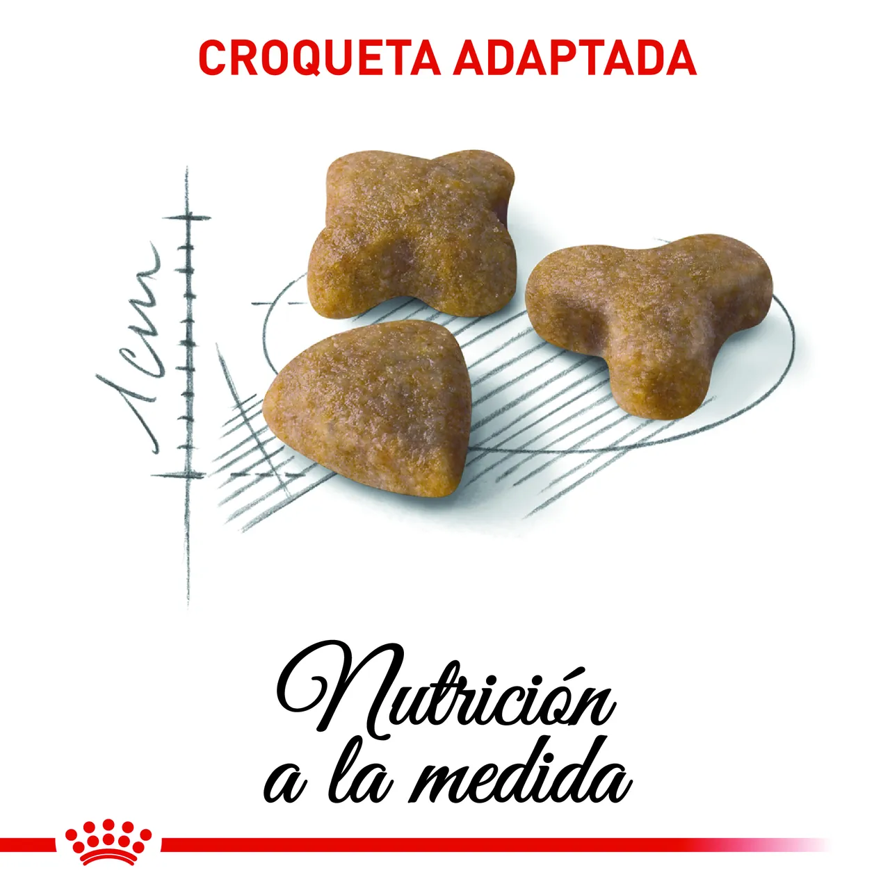 Royal Canin - Regular Sensible