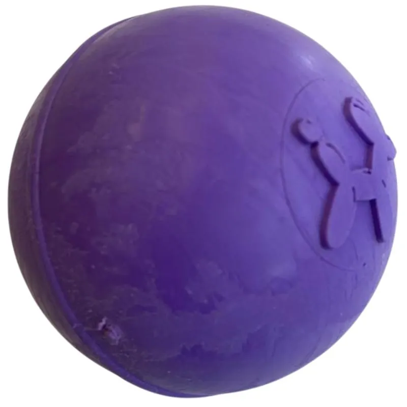 Paw Day - Pelota Grande Maciza