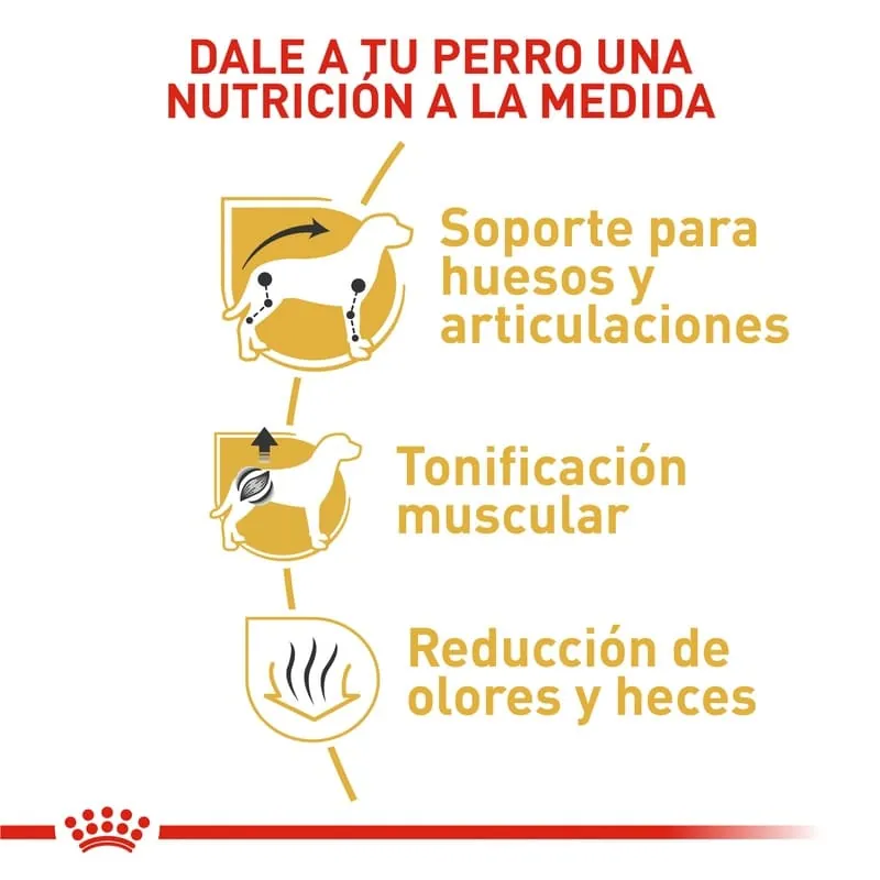 Royal Canin - Dachshund Adult