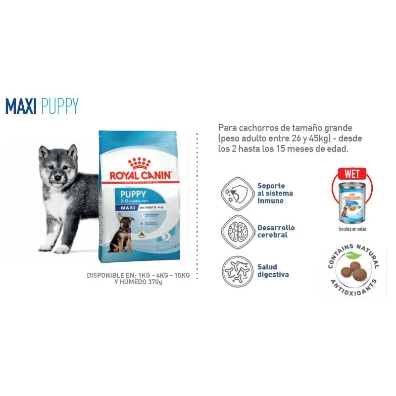 Royal Canin - Shn Large Puppy Lata