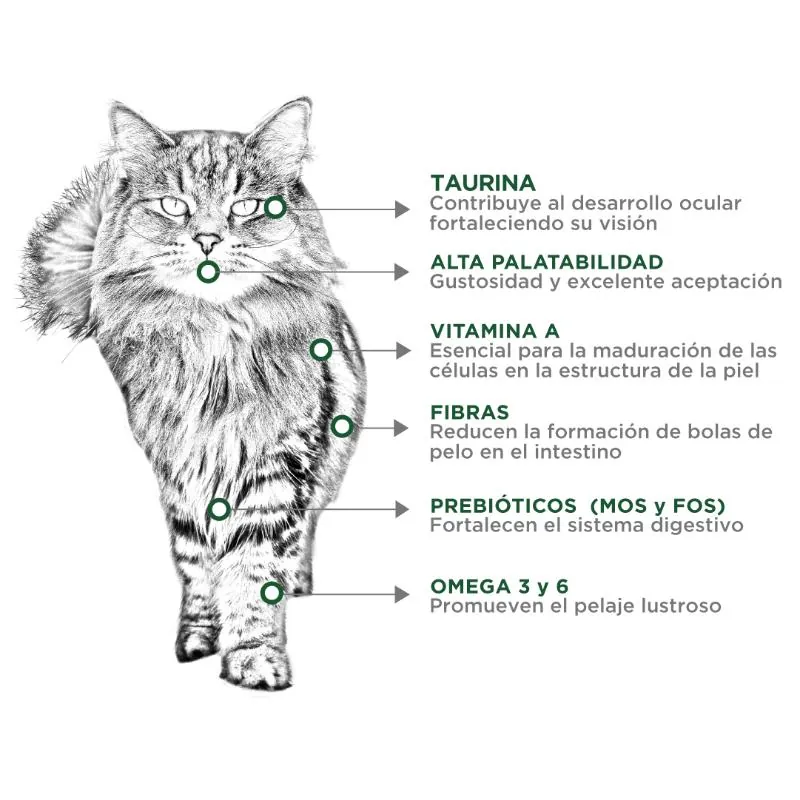 Nupec - Felino Hairball Control