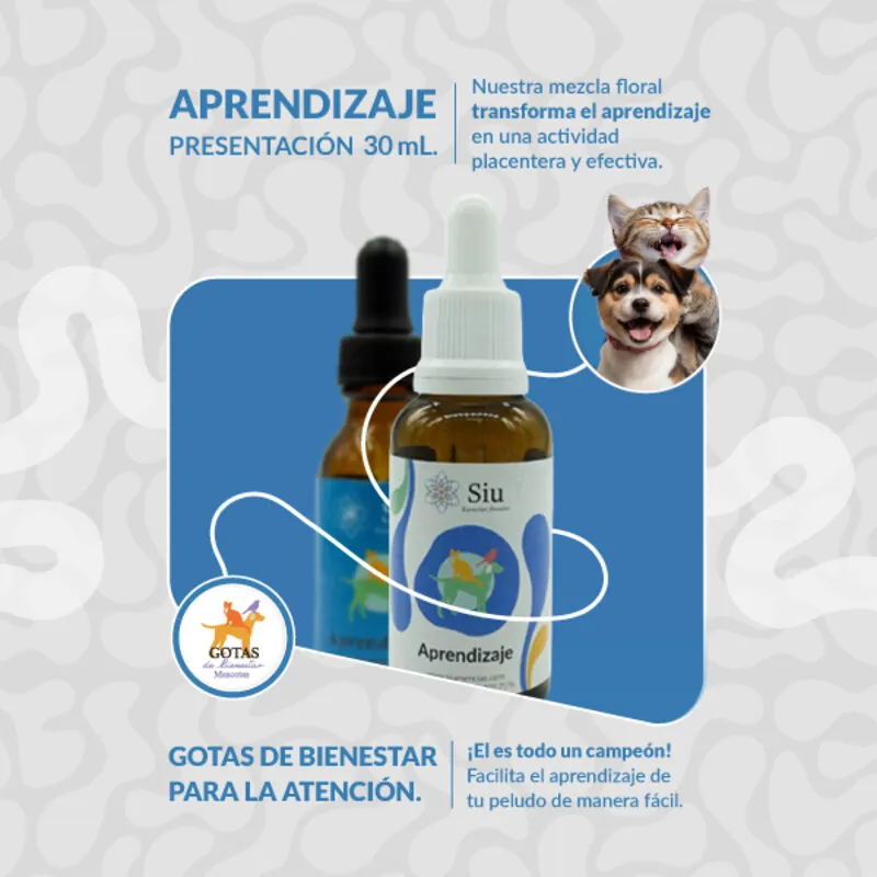 Siu - Esencia Floral Aprendizaje