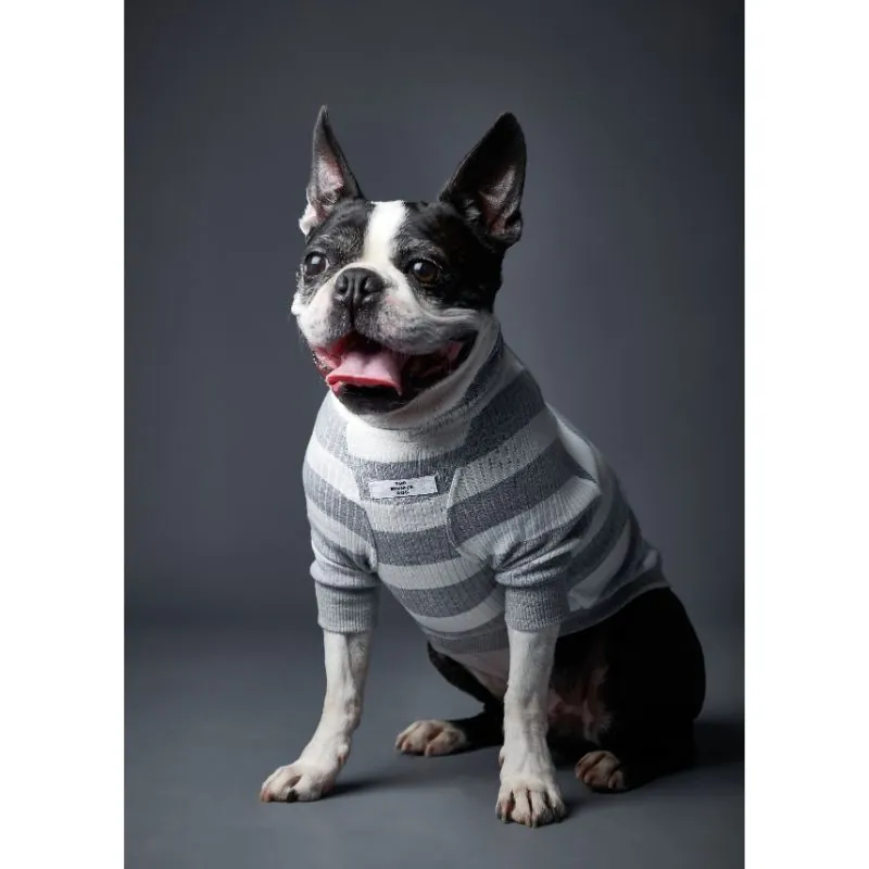 The Striped Dog - Suéter Verde Cuello Tortuga