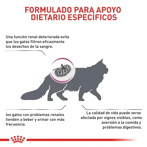 Royal Canin - Renal Especial Cat