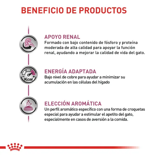 Royal Canin - Renal Especial Cat
