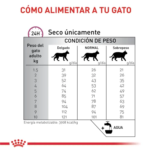Royal Canin - Renal Especial Cat