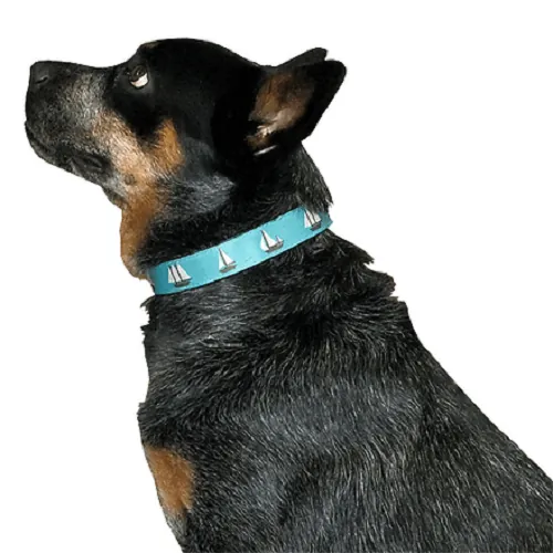 Animal Shop - Collar Veleros