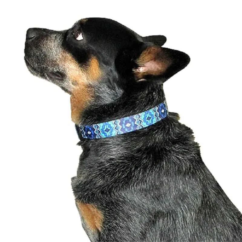 Animal Shop - Collar Tribal Azul