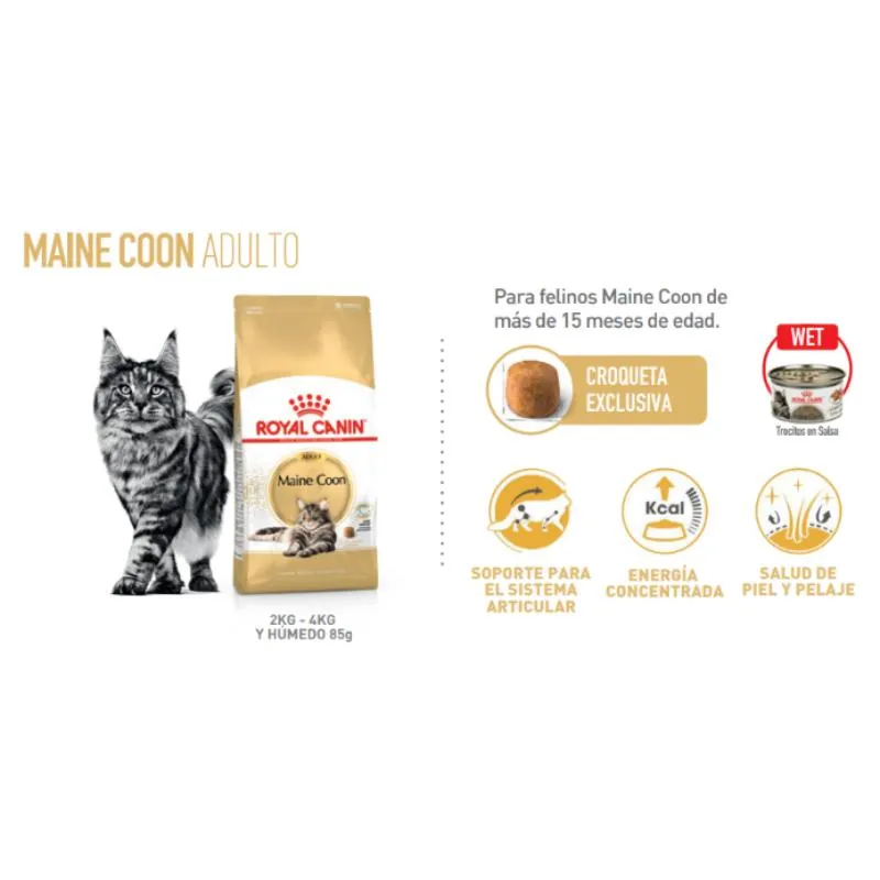 Royal Canin - Fbn Maine Coon Lata