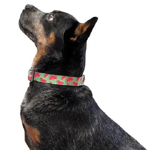 Animal Shop - Collar Patillas