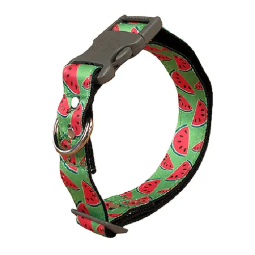 Animal Shop - Collar Patillas