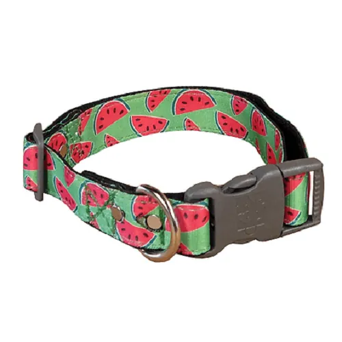 Animal Shop - Collar Patillas