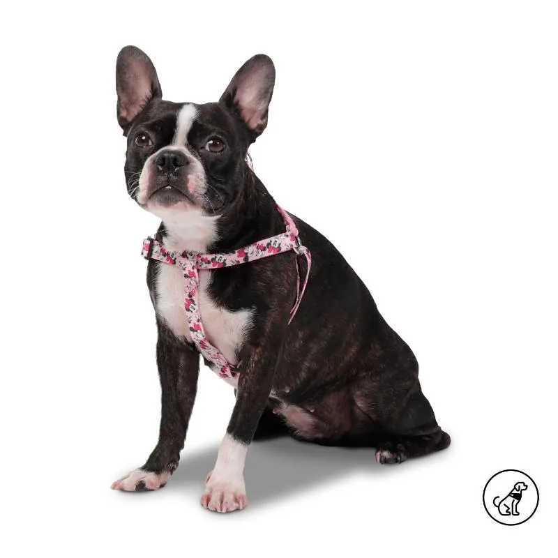 Totto Pets - Arnés de Caminata Brunno Minnie Mouse Rosado