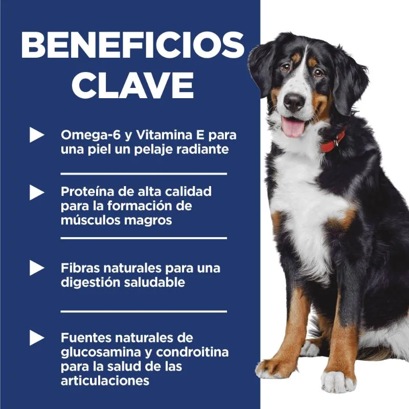 Hills Sd - Large Breed Alimento Perro Adulto Raza Grande Sabor Cordero