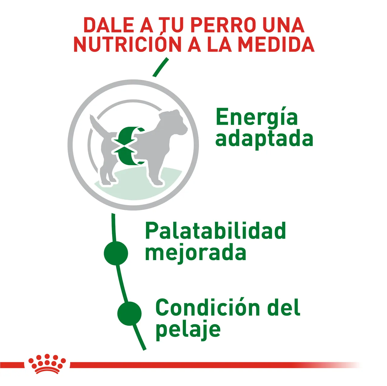 Royal Canin - Mini Adult