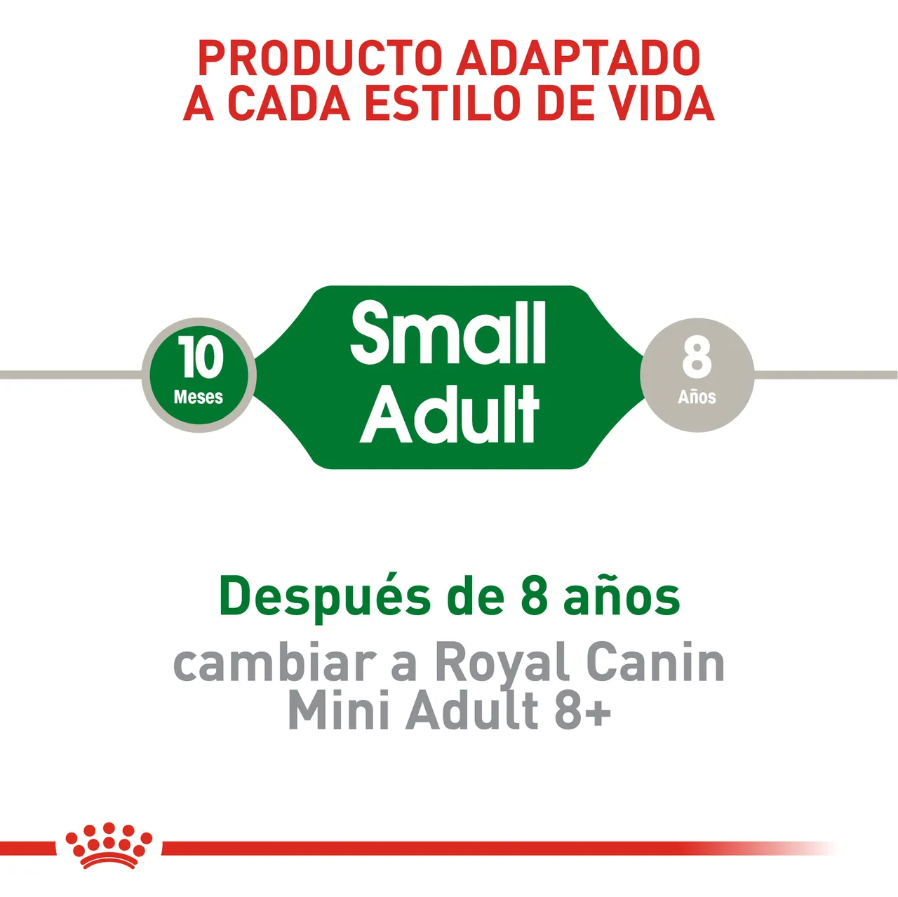 Royal Canin - Mini Adult