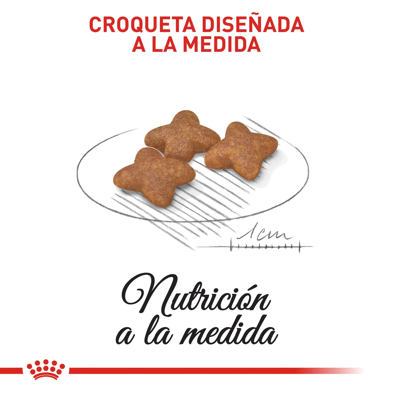Royal Canin - Mini Adult