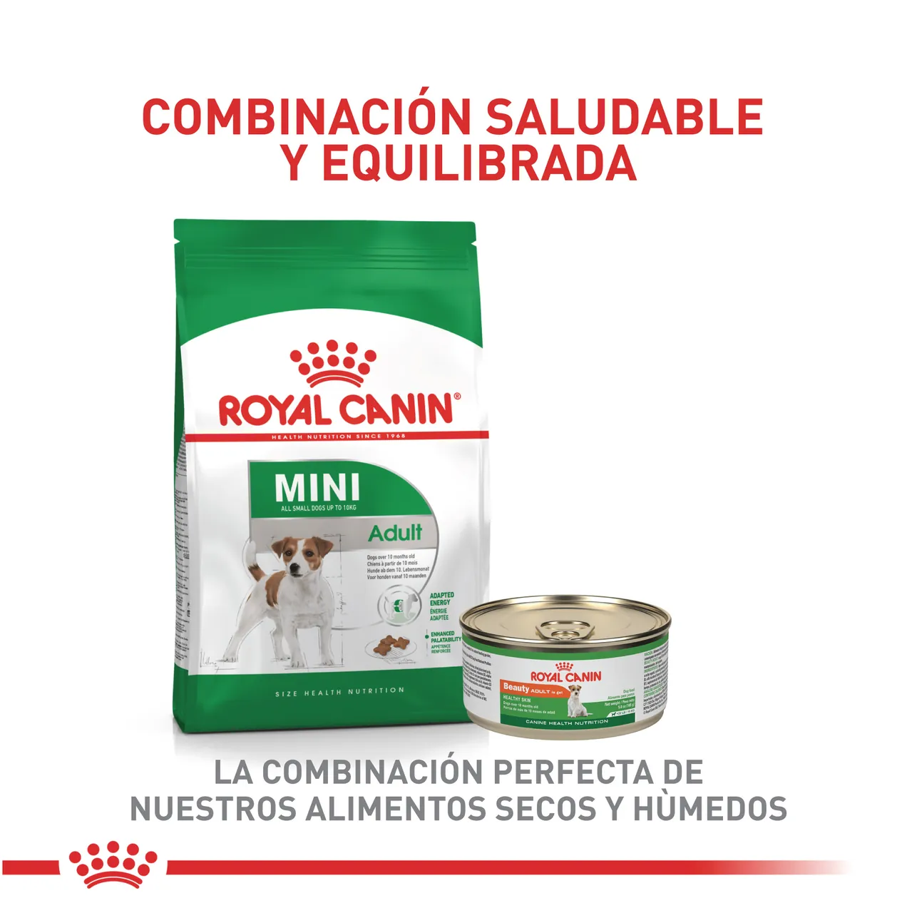 Royal Canin - Mini Adult