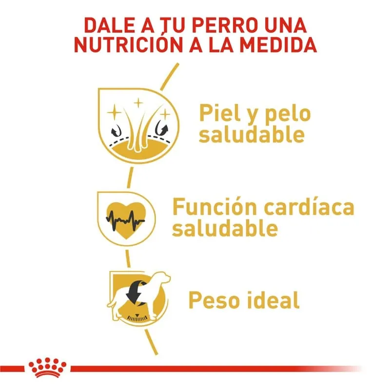 Royal Canin - Golden Retriever Adult