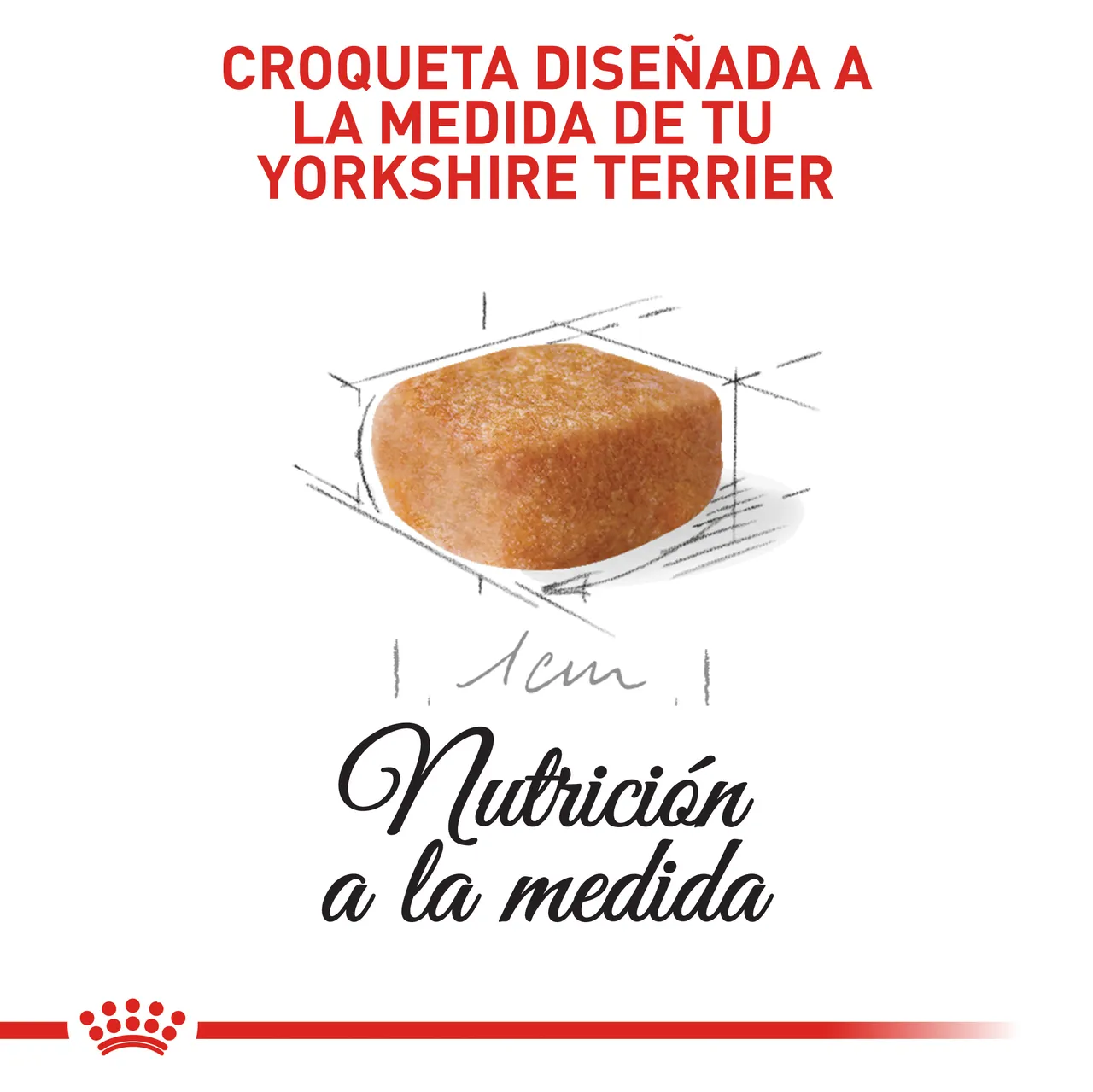 Royal Canin - Yorkshire Junior