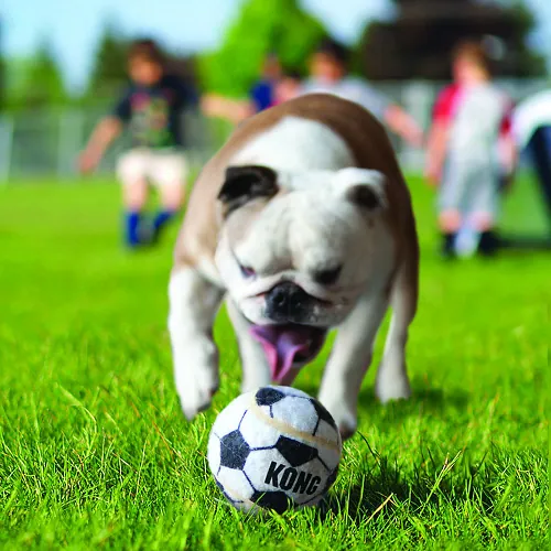 Kong - Sports Balls Pelota