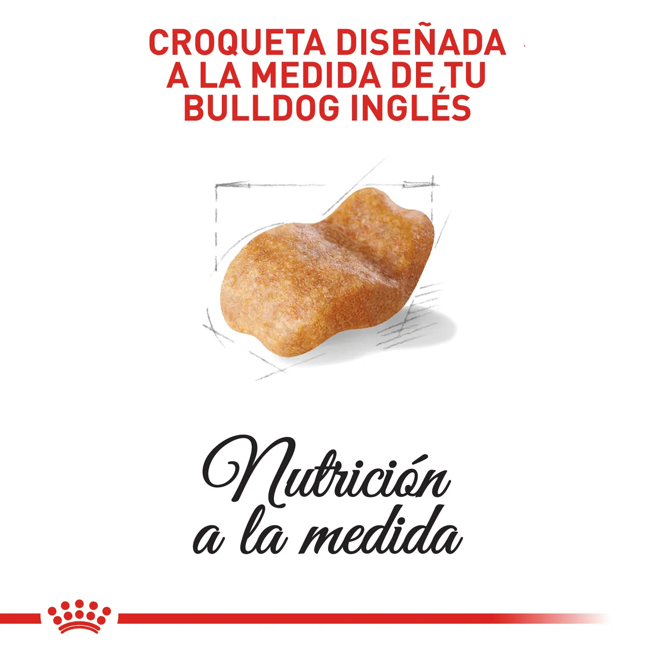 Royal Canin - Bulldog Adulto