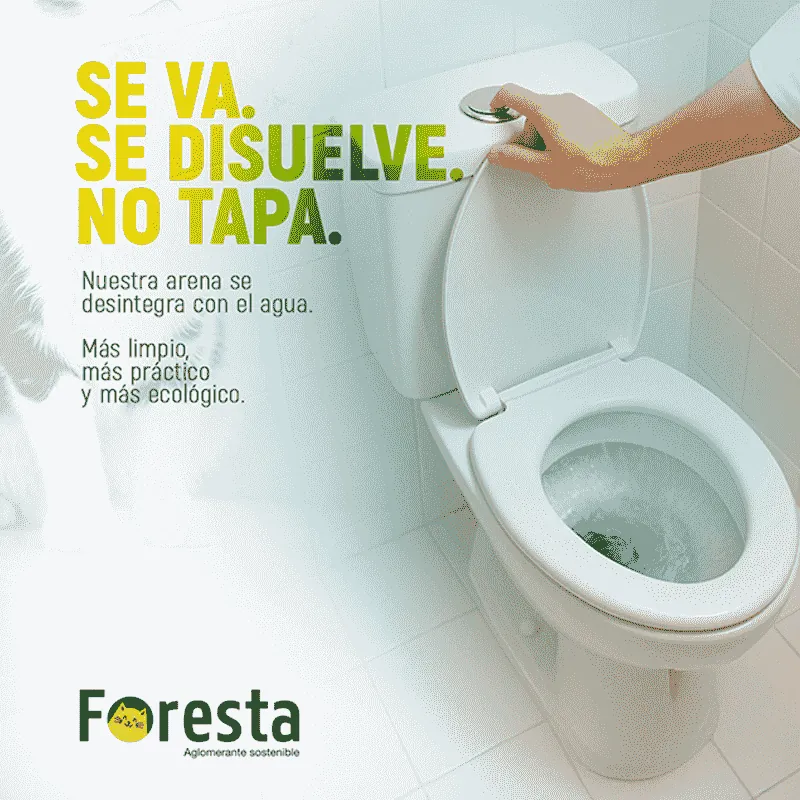 Foresta - Aglomerante Sostenible