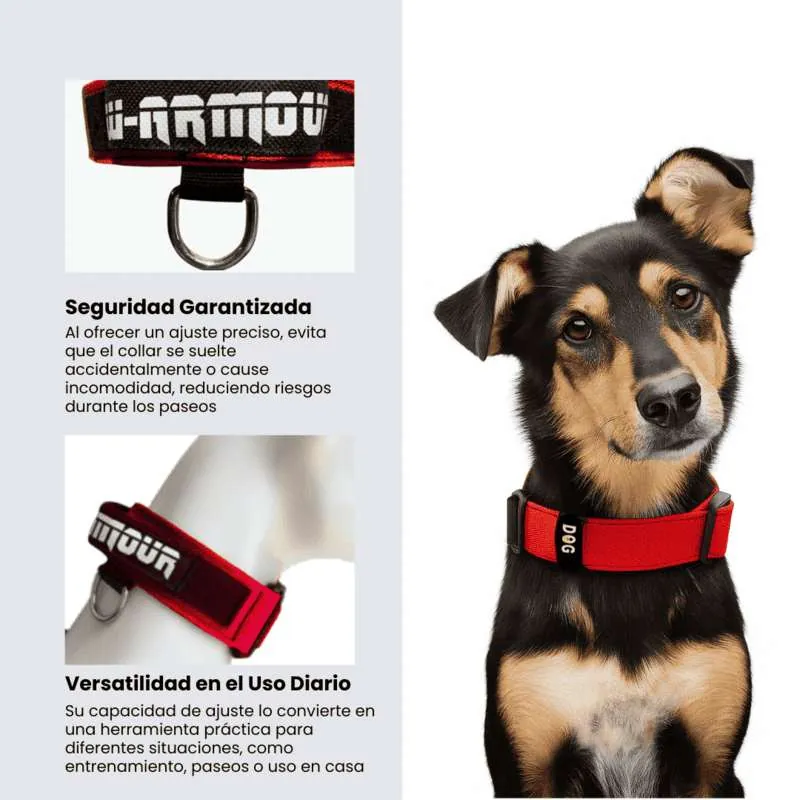 Dogerpilar - Collar Rojo