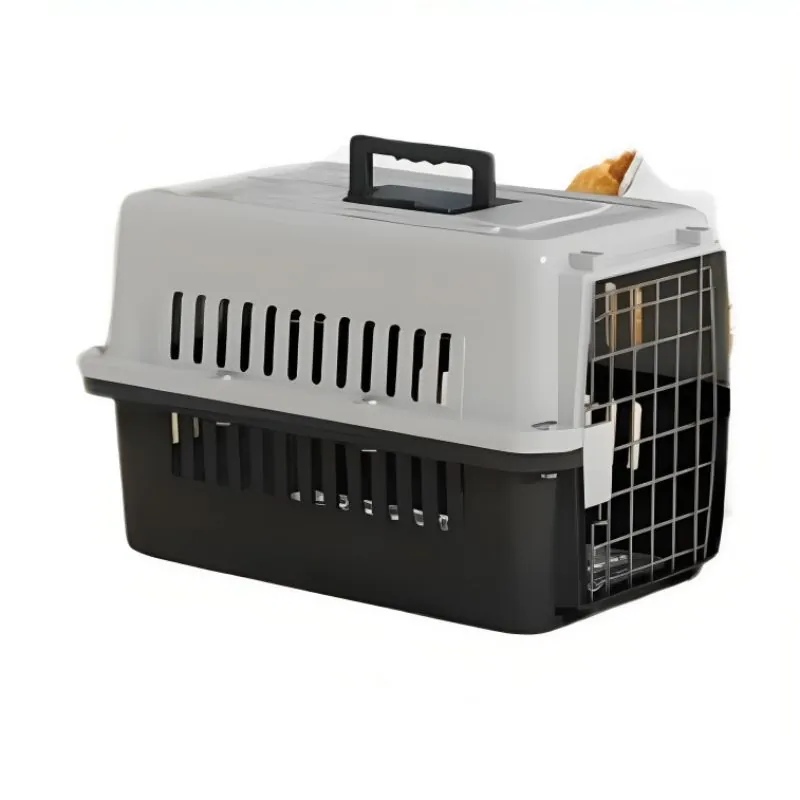 Calabaza Pets - Guacal Sencillo Con Tornillos Bristol