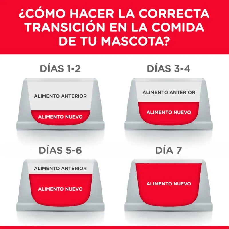 Hills Sd- Alimento Saludable Perro Adulto Sabor Cordero