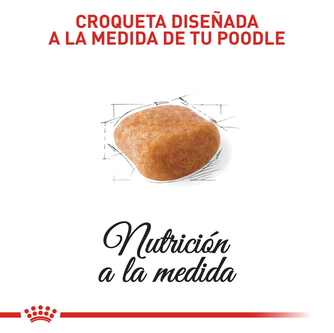 Royal Canin - Poodle Adult