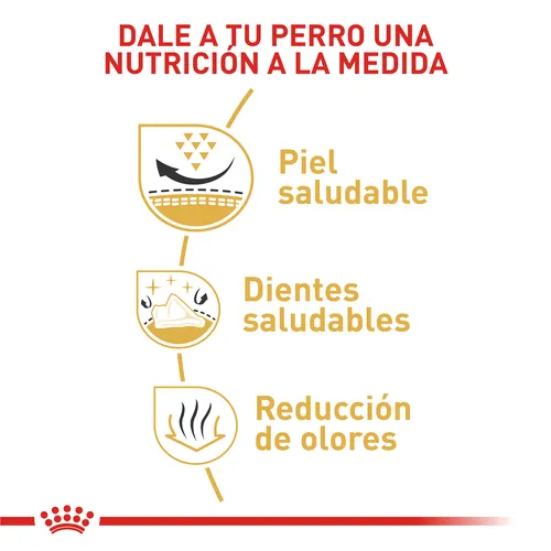 Royal Canin - Shih Tzu Adulto
