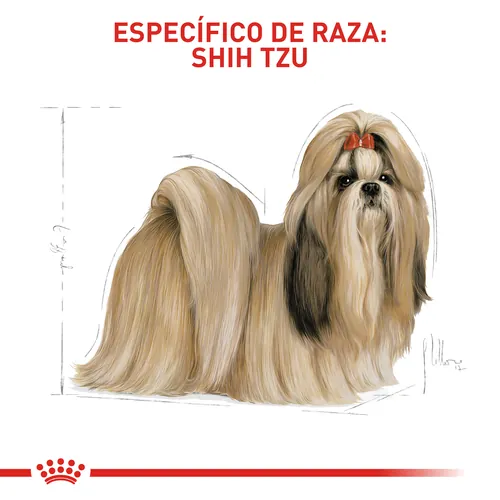 Royal Canin - Shih Tzu Adulto