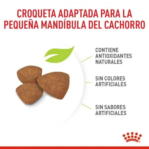 Royal Canin - Mini Puppy