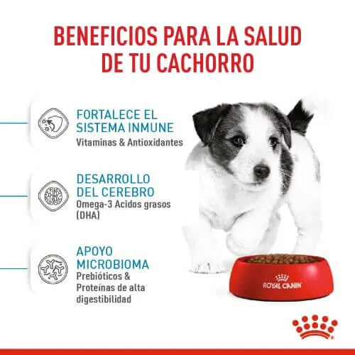 Royal Canin - Mini Puppy