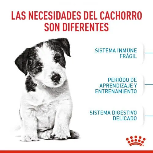 Royal Canin - Mini Puppy