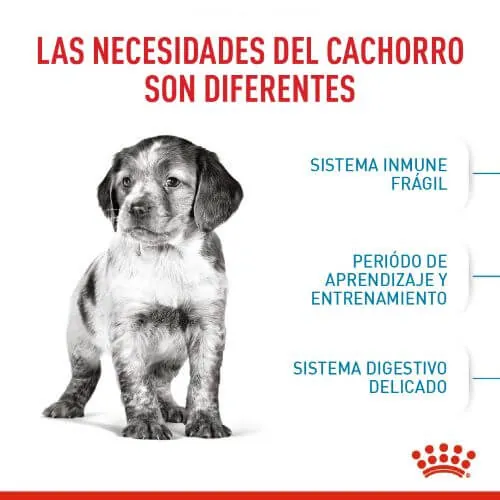 Royal Canin - Medium Puppy