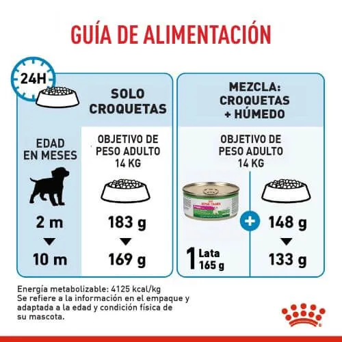 Royal Canin - Medium Puppy