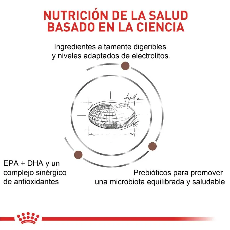 Royal Canin VHN - Gastro Intestinal Moderate Calories Gato